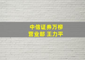 中信证券万柳营业部 王力平